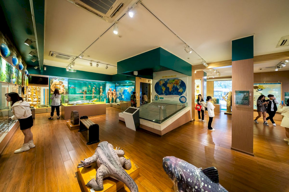 A fascinating space filled with fossil displays, taxidermy animals and interactive science exhibits